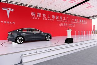 特斯拉上海工廠投產(chǎn)在即 中國電動(dòng)汽車產(chǎn)業(yè)迎來新變量